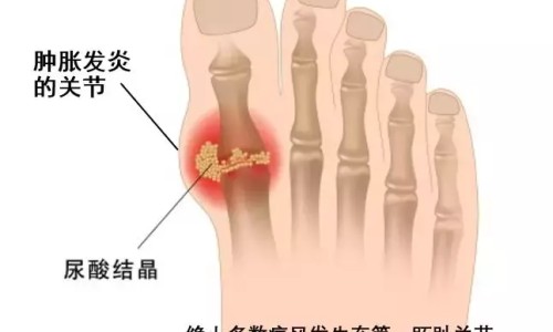 医院接待病人-病人入院接待流程网-分享新入院病人接待流程图，病人入院接待流程图知识库