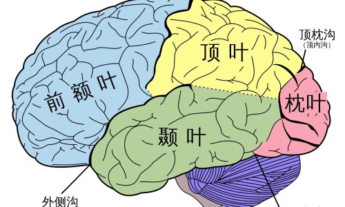 医院接待病人-病人入院接待流程网-分享新入院病人接待流程图，病人入院接待流程图知识库